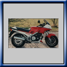 FJ 1100